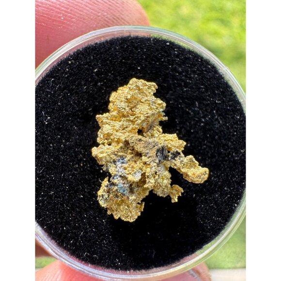 California Native Gold Crystal - 1.46 grams - Picture 2 of 5